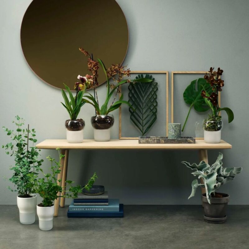 Tegla za orhideje Orchid pot